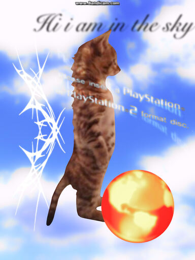 dijicat