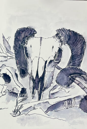 skullz